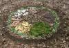 Mandala forêt